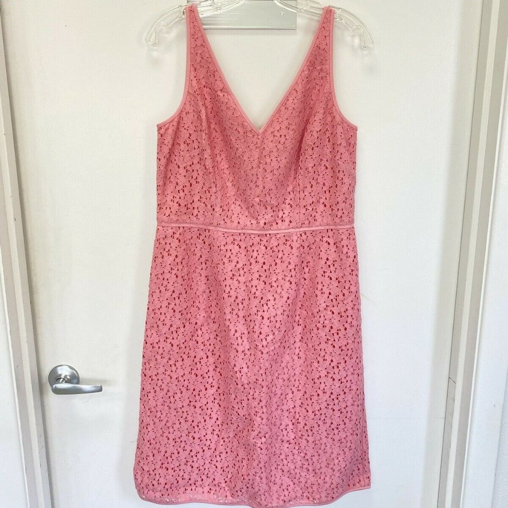 NWT Ann Taylor Pink Lace V-neck A-Line Dress Women's Size 10